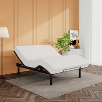 Wayfair store electric beds